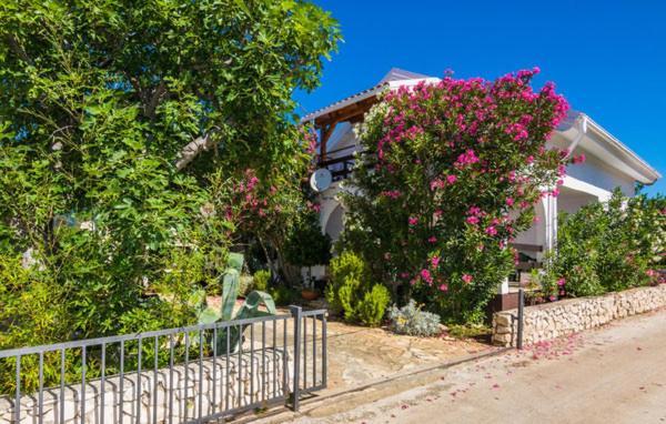 Apartment "Marija" - Otok Vir Exterior photo